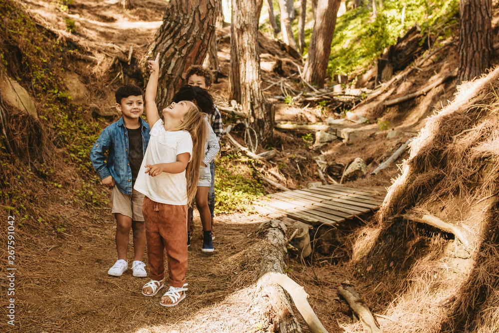 Children in the woods