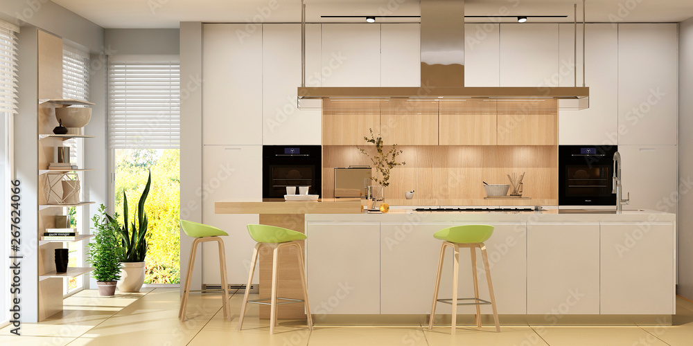 Modern kitchen interior