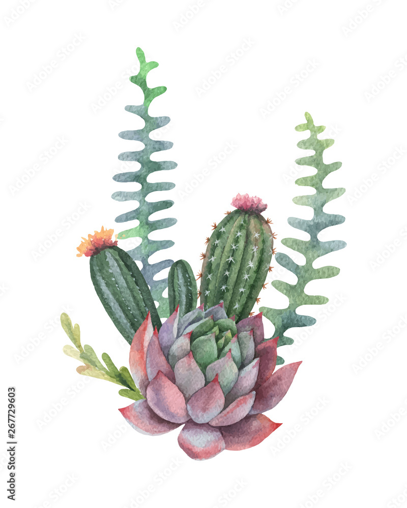 Watercolor vector bouquet of cacti and succulent plants isolated on white background.