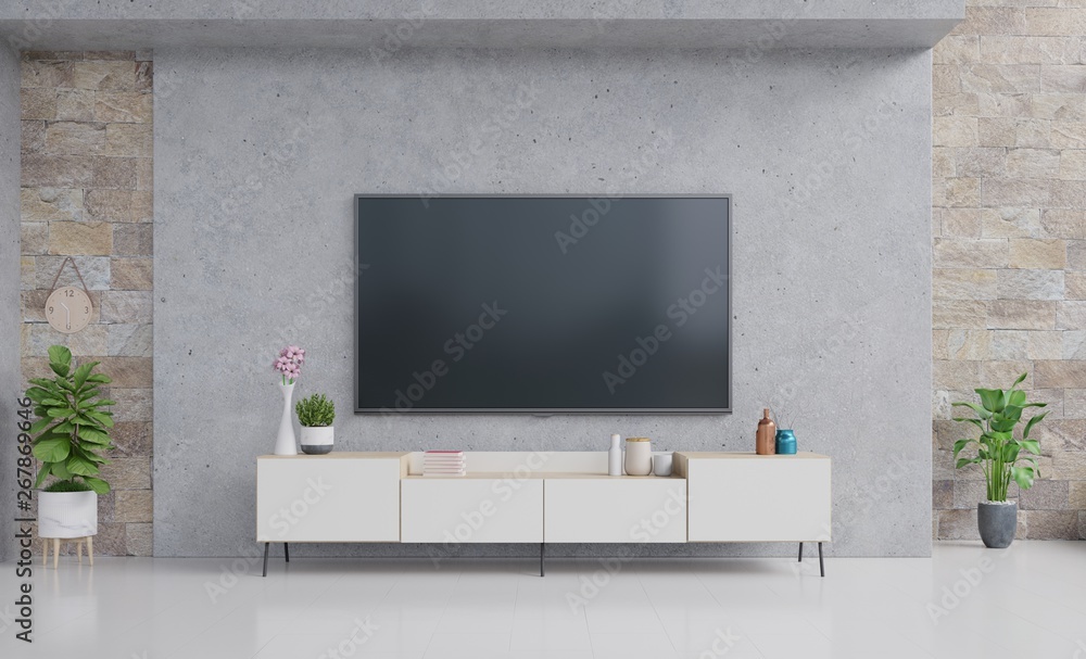 TV on cabinet in modern living room with lamp,table,flower and plant on cement wall background,3d re