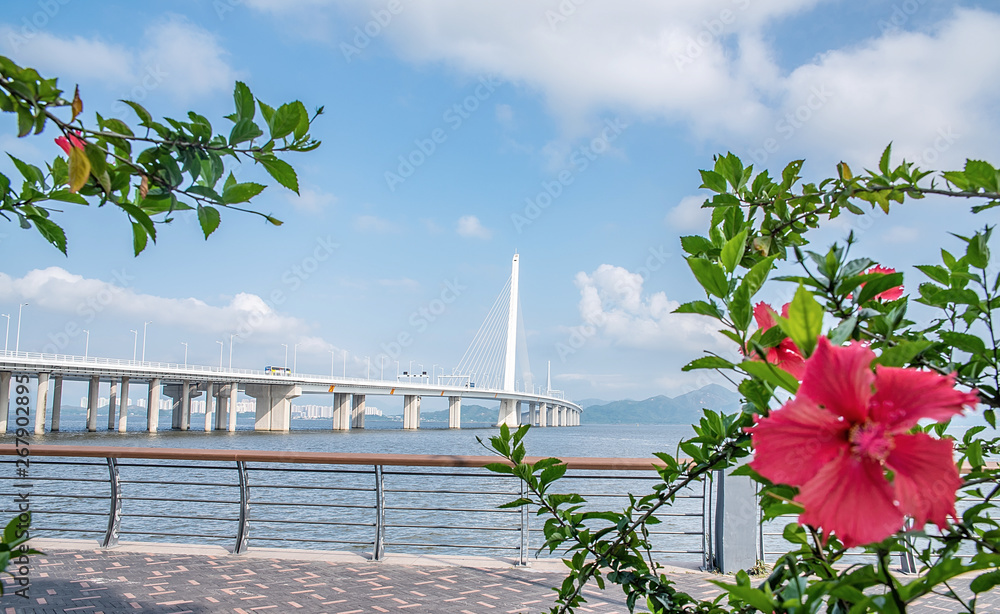 中国广东省深圳湾公路大桥风光