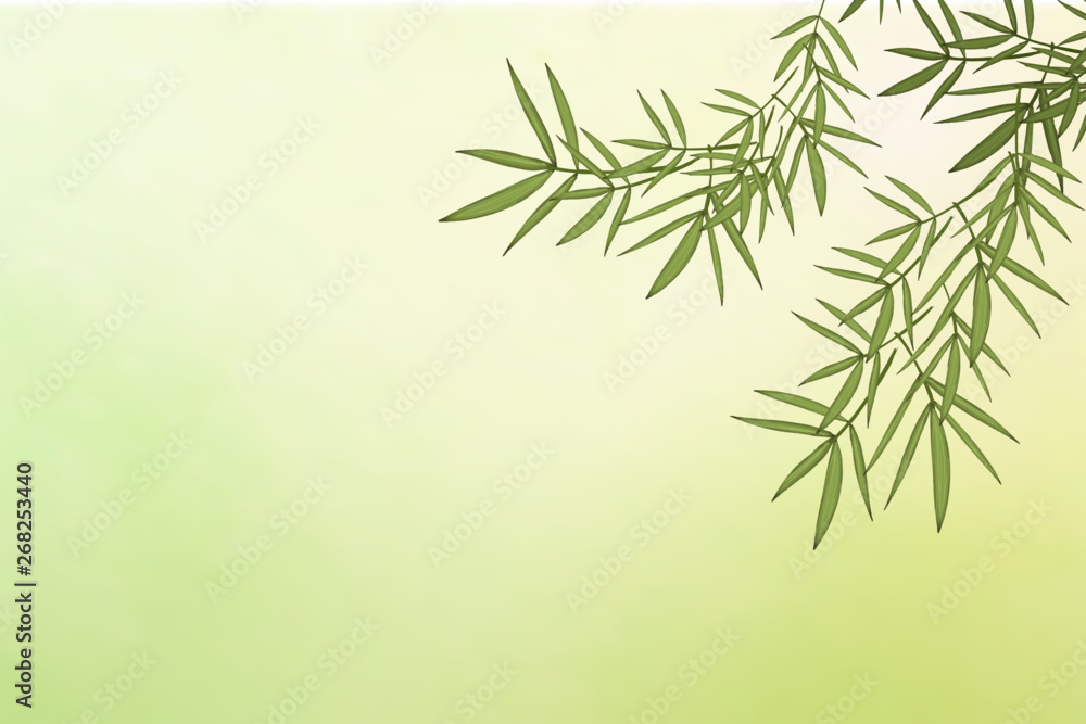 Bamboo leaf background