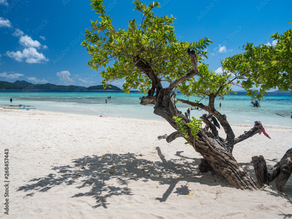 Tropical beach with white sand on the Malcapuya Island, Busuanga, Palawan, Philippines. Beautiful tr