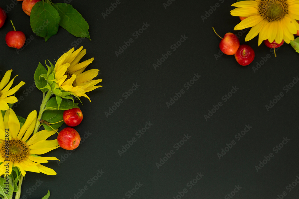 A bouquet of yellow sunflowers with red apples lies on a black background, chalk board. Concept summ