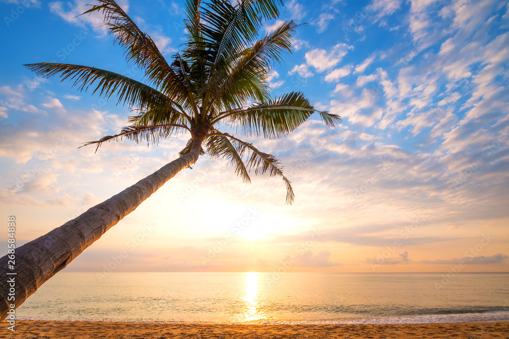 Seascape of beautiful tropical beach with palm tree at sunrise. sea view beach in summer background.