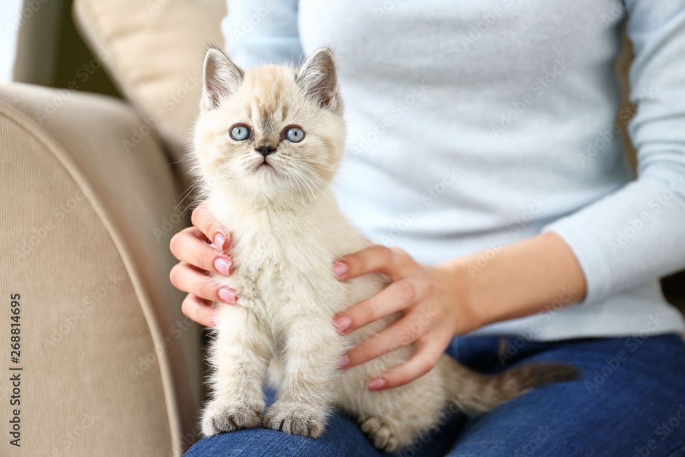 Woman with cute funny kitten at home