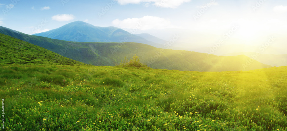 夏日山景