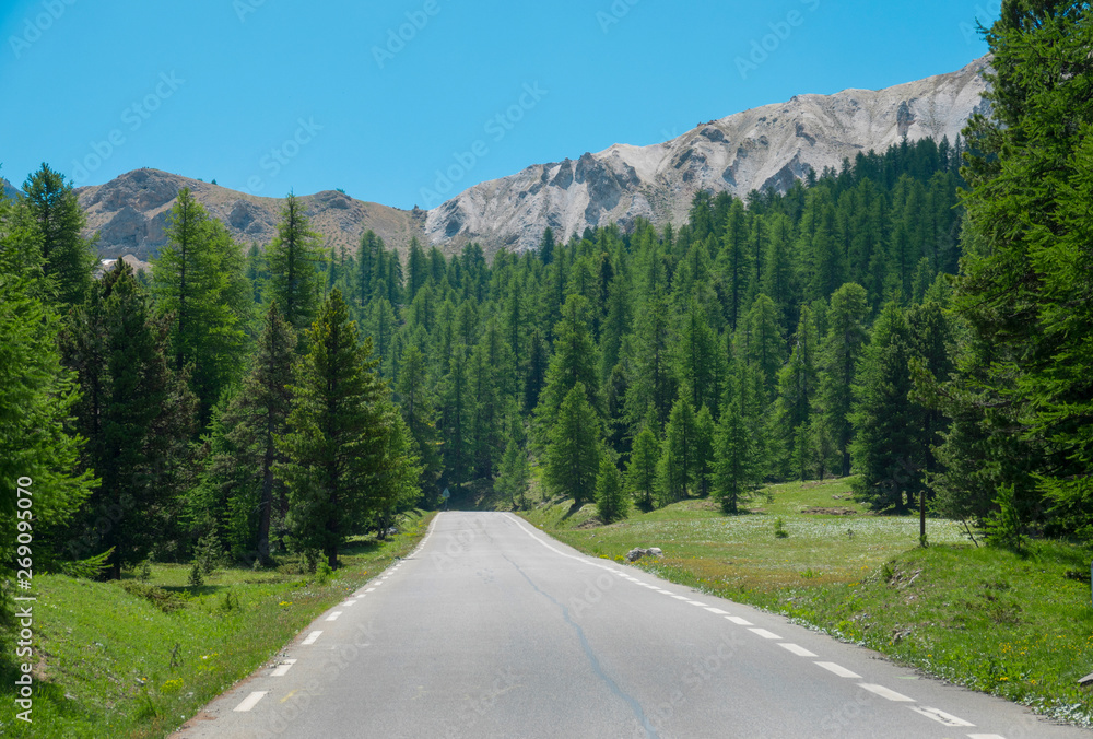 空旷的柏油路穿过针叶林和风景秀丽的法国阿尔卑斯山