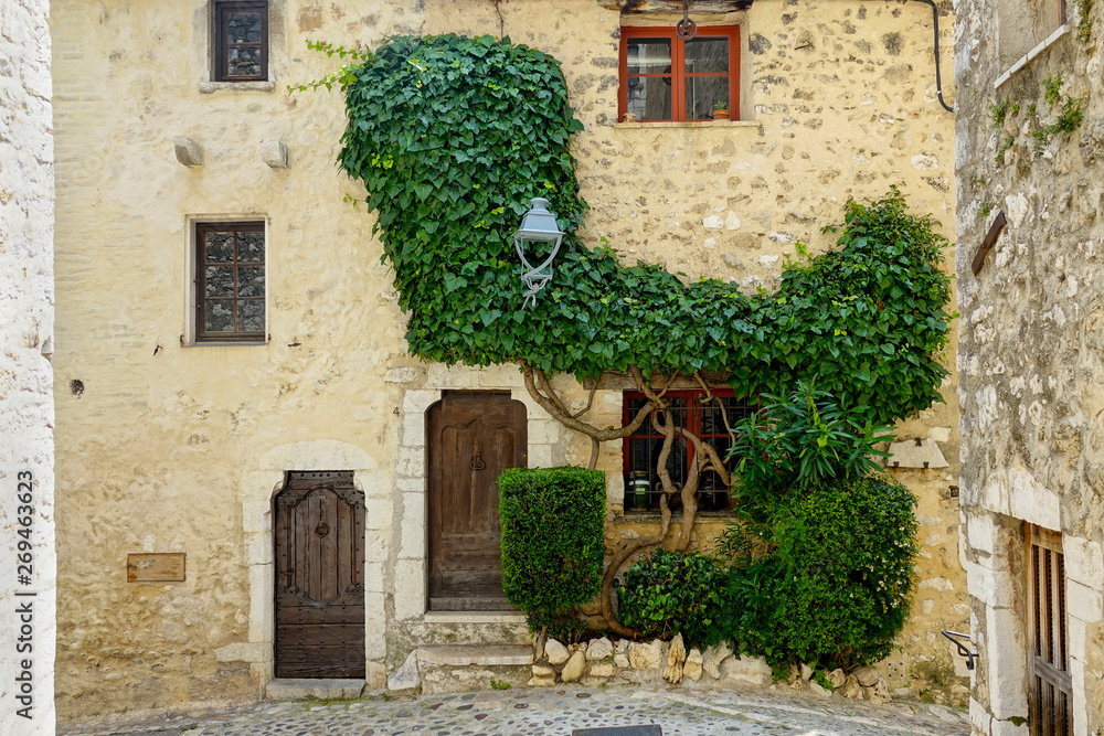 CLOSE UP: Green ivy plant climbing up the side of a medieval stone building.