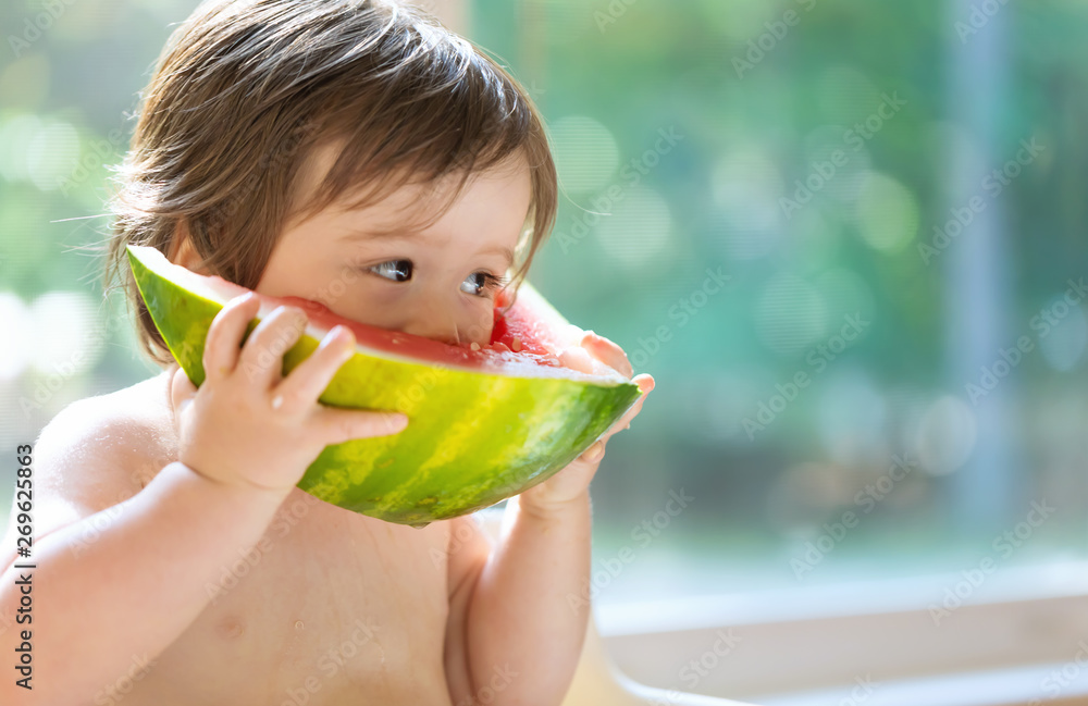 Toddler boy eating watermelon in his highchair