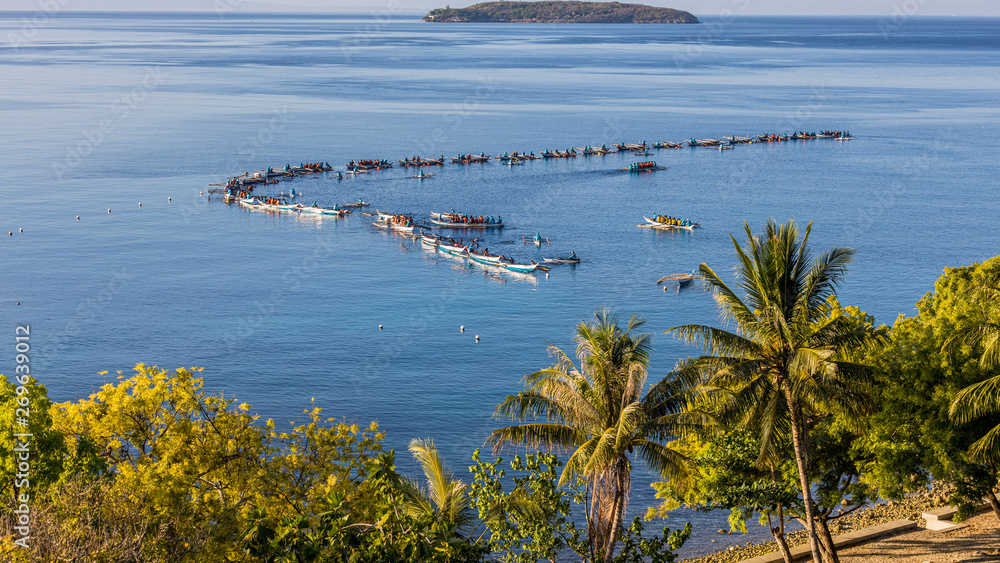 Oslob Whale Shark Watching, Fishermen feed gigantic whale sharks ( Rhincodon typus) from boats in th