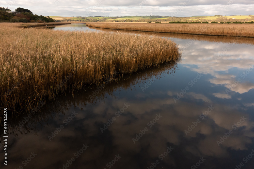 river with golden color grass at princetown wetland