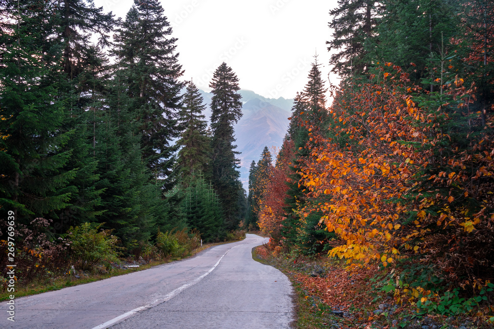 格鲁吉亚斯瓦涅蒂山区的公路，美丽的风景