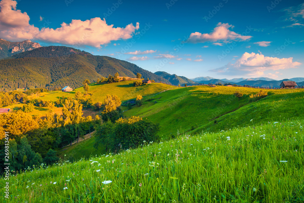 Summer rural landscape and wooden huts, near Bran, Transylvania, Romania