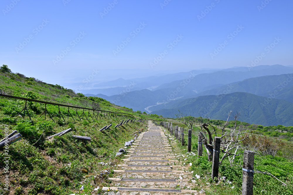 登山道