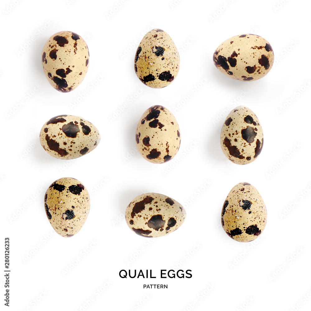 Seamless pattern with quail eggs. Tropical abstract background. Quail egg on the white background.