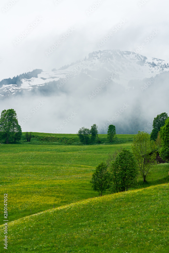 Alpine landscapce, foggy mountain behind a green meadow with some trees, Maria Alm