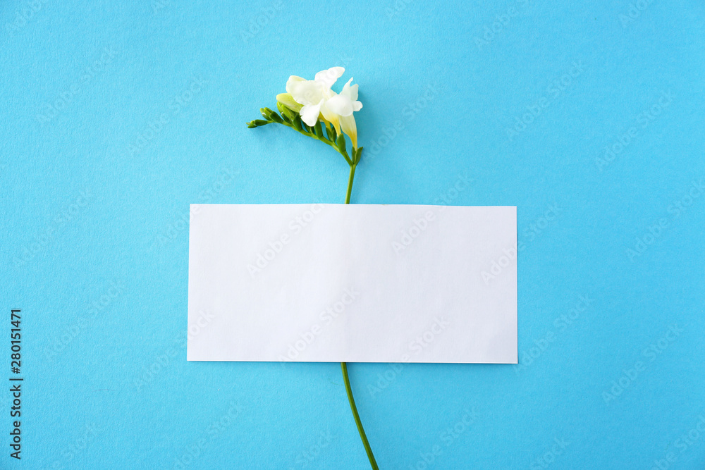 Blank card and beautiful freesia flowers on color background