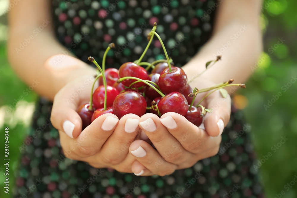 Woman with handful of ripe cherry outdoors, closeup