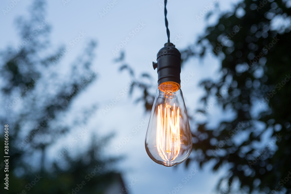 Creative idea concept - lonely retro bulb glow in the garden