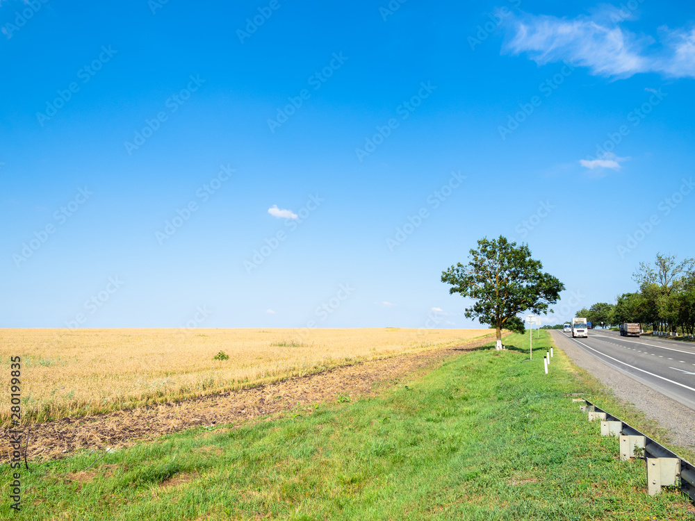 阳光明媚的夏日公路麦田