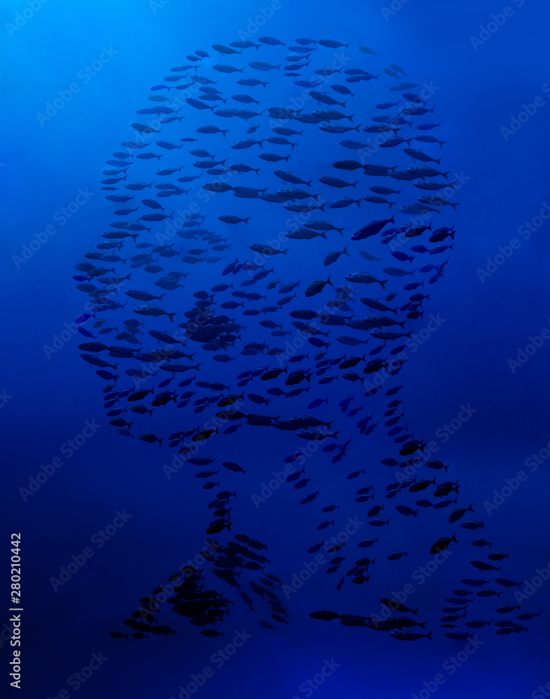 Man portrait made out of underwater fish school