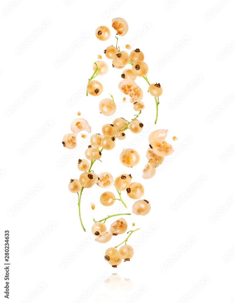 Branches of white currant in the air, isolated on a white background