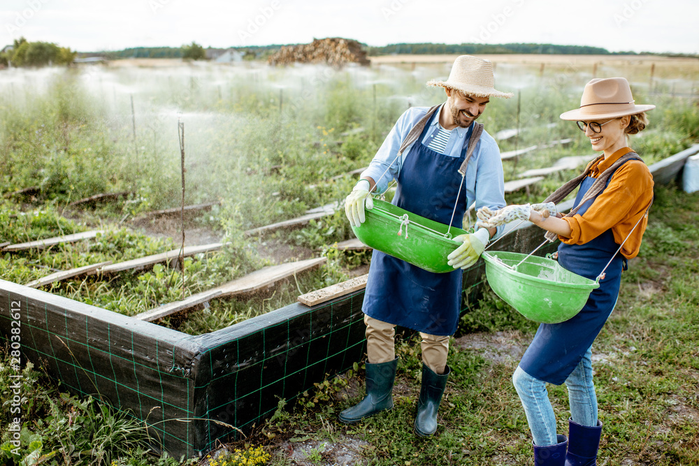 Well-dressed farmers standing on the farmland with green buckets for feeding snails on a farm outdoo