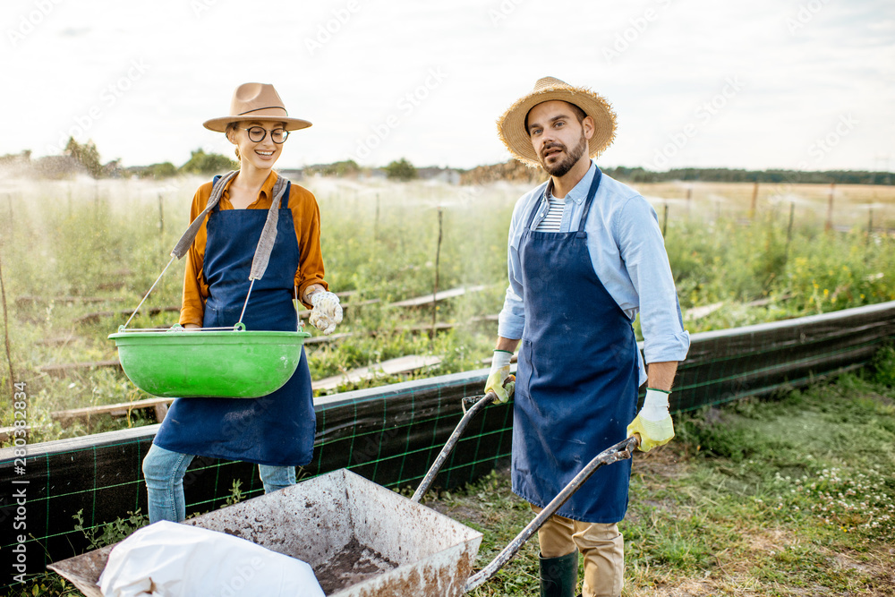 Two well-dressed farmers walking with pushcart and green busket on the farmland for growing snails. 