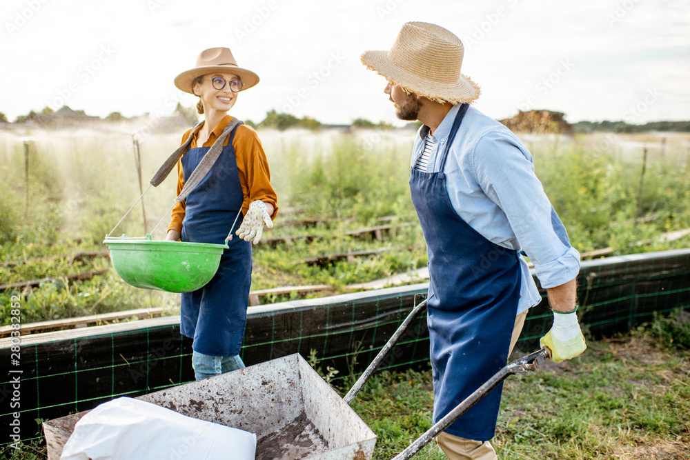 Two well-dressed farmers walking with pushcart and green busket on the farmland for growing snails. 