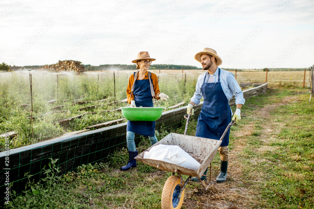 Two well-dressed farmers walking with pushcart and green busket on the farmland for growing snails. 