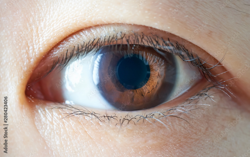 Close-up and selected focusing on a beautiful asian women eye .