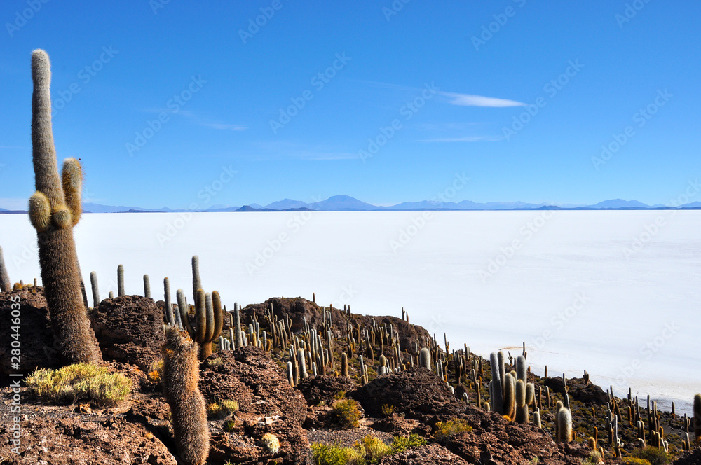 salar de uyuni in potosi to geysers sol de mariana in bolivia