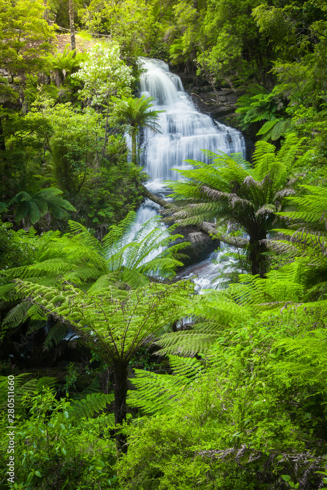 Fresh Falls