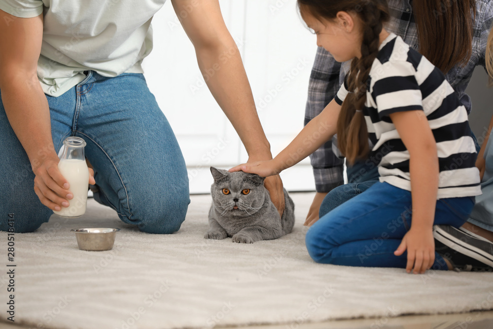 Happy family feeding cute cat in kitchen