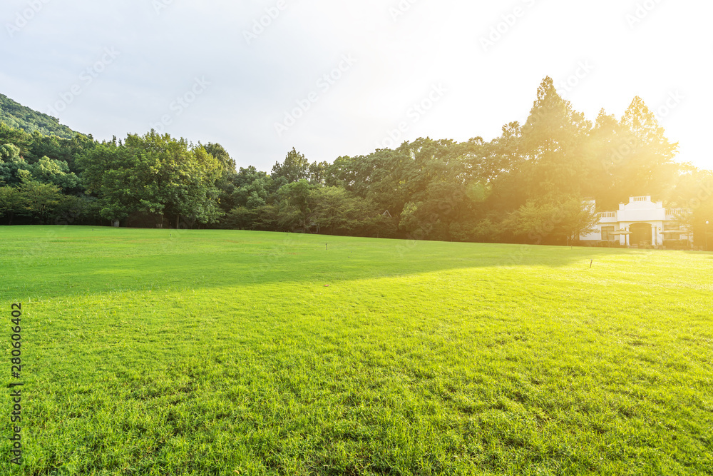 green lawn