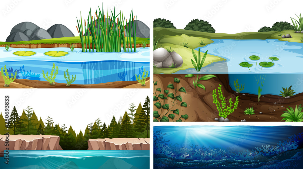 Aquatic ecosystems with pond, lake, river