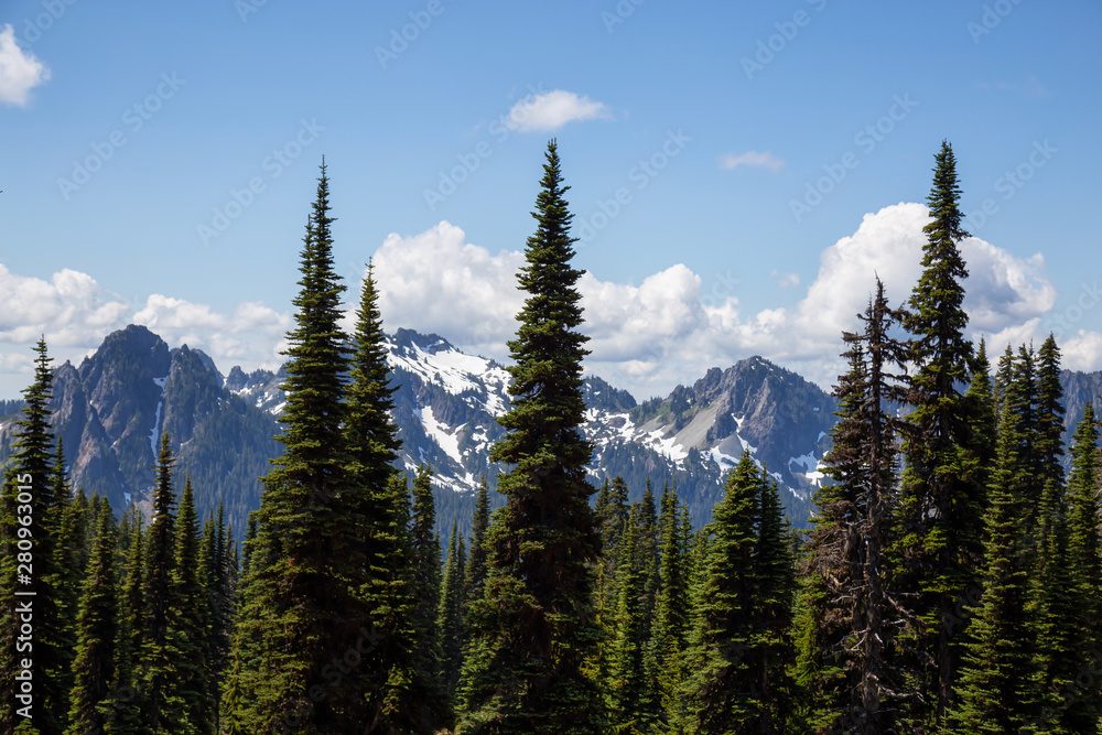 Beautiful American Mountain Landscape view during a sunny summer day. Taken in Paradise, Mt Rainier 