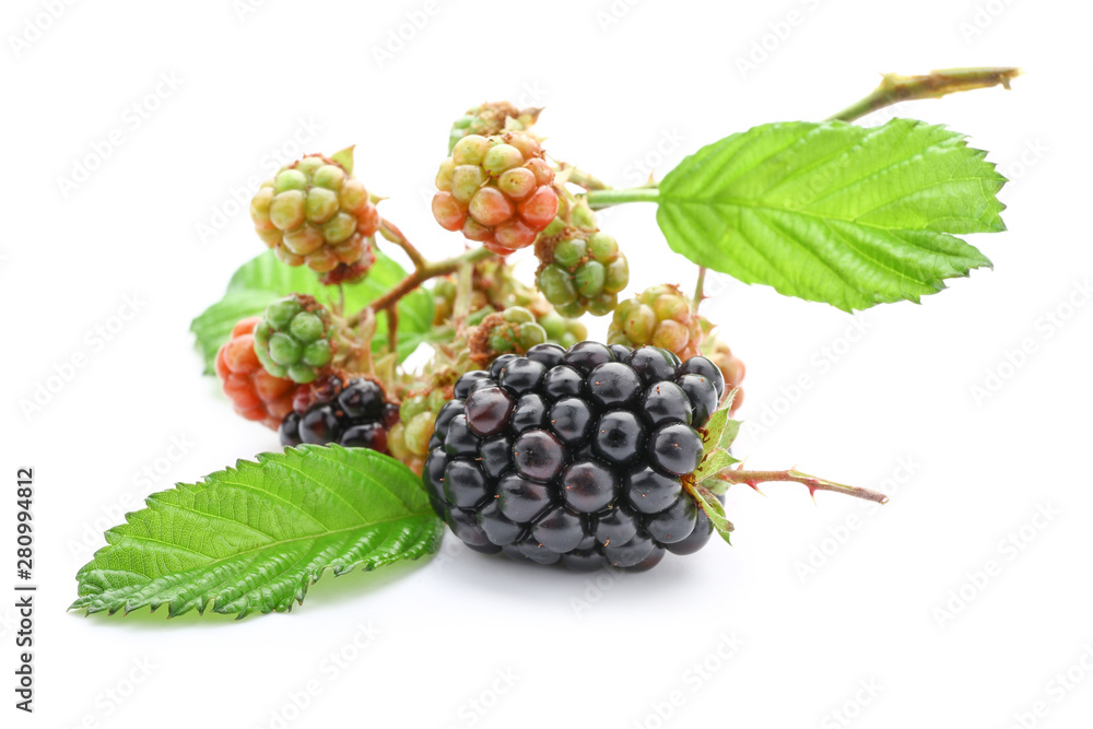 Tasty blackberry on white background