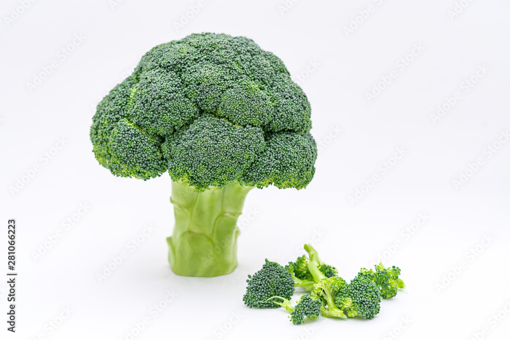 A broccoli in the white background