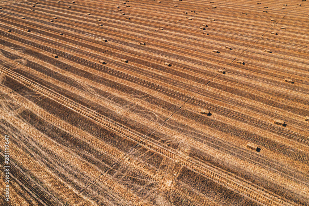 Aerial view of square hay bales in field after harvest