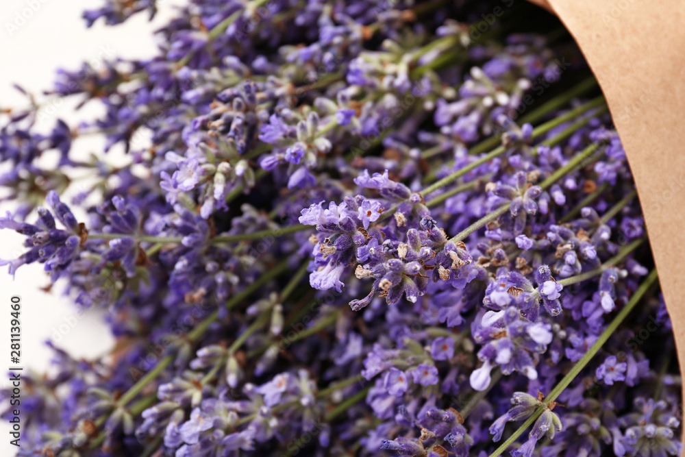 Bunch of beautiful lavender flowers, closeup