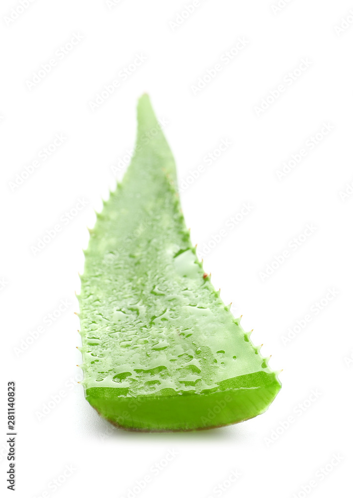 Fresh leaf of aloe plant on white background