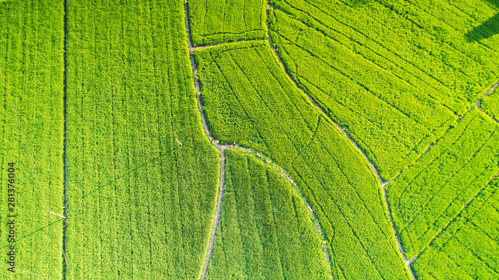 Aerial photo of rural summer pastoral scenery in langxi county, xuancheng city, anhui province, Chin