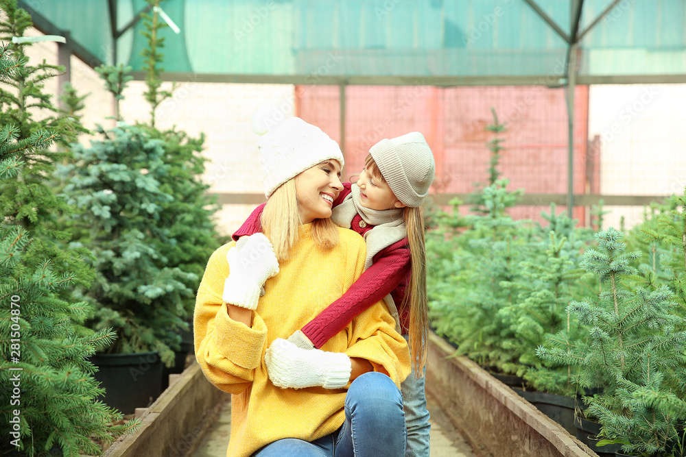 Woman with little daughter choosing Christmas tree in greenhouse