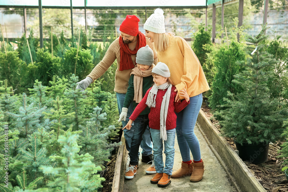 Family choosing Christmas tree in greenhouse