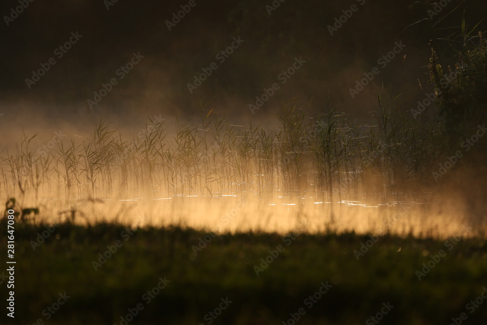 The morning mist and sunrise sunlight reflects on the surface of water in a lake