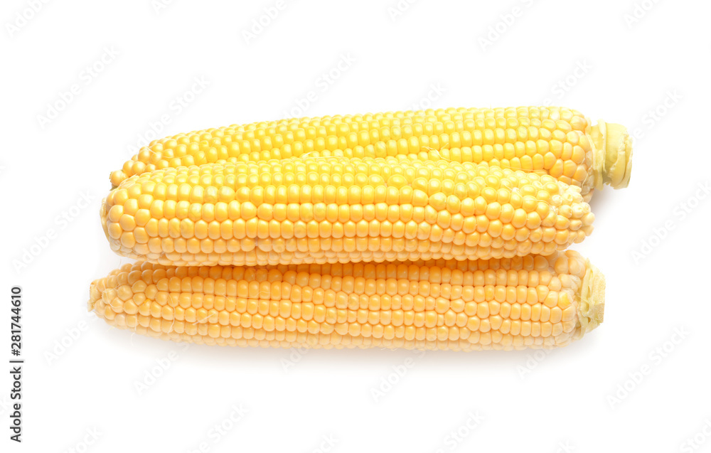 Fresh corn cobs on white background