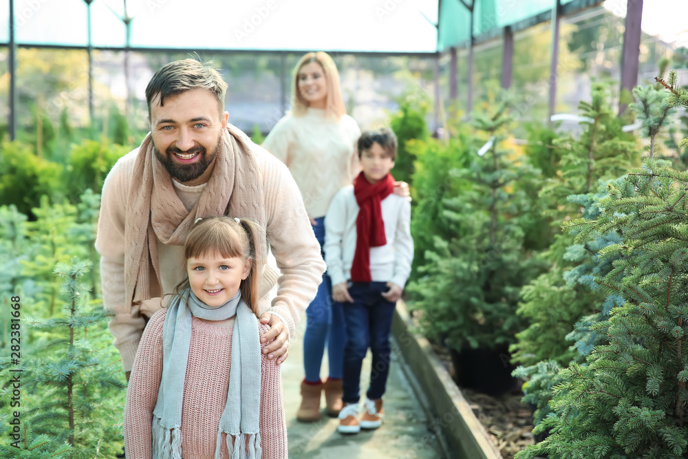 Family choosing Christmas tree in greenhouse