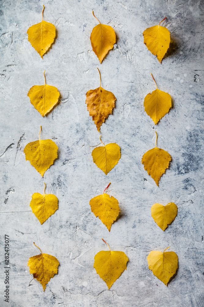 Autumn composition made of dried leaves